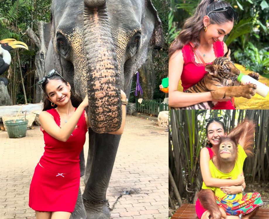 Anushka Sen Shares Throwback Memories From Bangkok’s Safari World Says, “Made So Many Friends” 897977