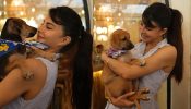 Jacqueline Fernandez and her love for Dogs, See Pics!