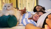 Good News For Mirzapur Fans: Richa Chadha Wishes Father's Day To Ali Fazal On Behalf Of Soon-to-be Born Baby 900758