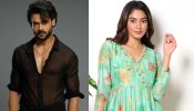 "I am loving it" Vishal Singh Praises Bigg Boss OTT 3 Sana Makbul 903385
