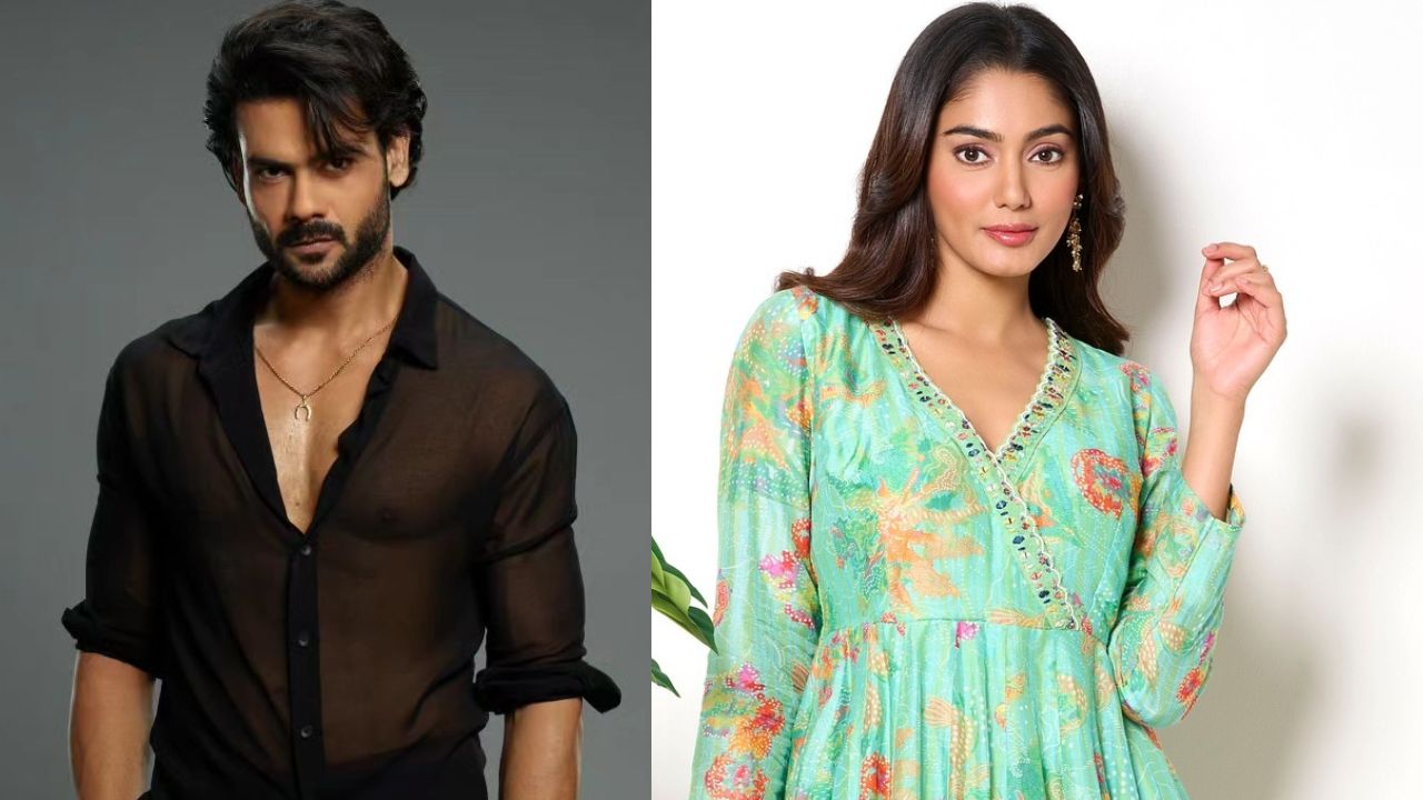 "I am loving it" Vishal Singh Praises Bigg Boss OTT 3 Sana Makbul 903385