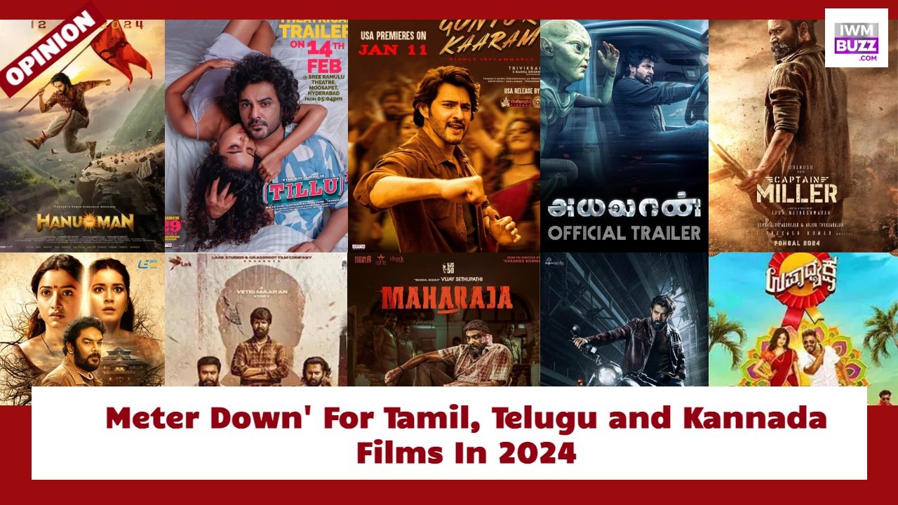 It's 'Meter Down' For Tamil, Telugu and Kannada Films In 2024; Let's Decode 903422