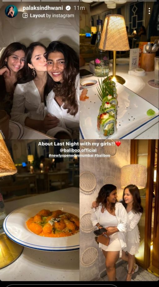 Japanese Food- Cozy Selfies: A Peek Into TMKOC'S Palak Sindhwani's Girls Day Out 898699