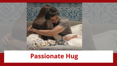 Jhanak Spoiler: Aniruddh and Jhanak’s passionate hug; both grapple with their emotions