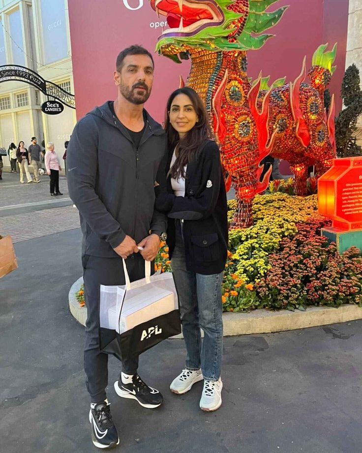 John Abraham & wife Priya Runchal complete 10 years of marriage; latter shares a series of images 898657