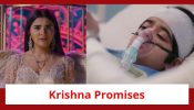 Krishna Mohini Spoiler: Krishna lives Mohan’s dream; promises to protect him