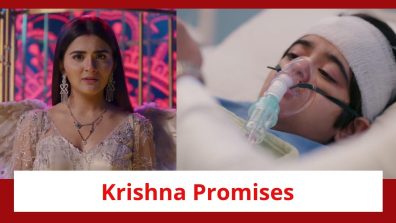 Krishna Mohini Spoiler: Krishna lives Mohan’s dream; promises to protect him