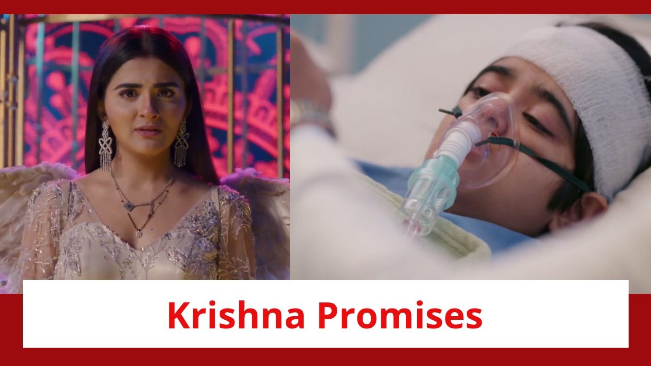Krishna Mohini Spoiler: Krishna lives Mohan's dream; promises to protect him 900835