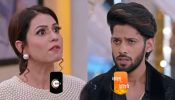 Kundali Bhagya Spoiler: Nidhi Instigates A Fight Between Shaurya And Rajveer, Karan Scolds