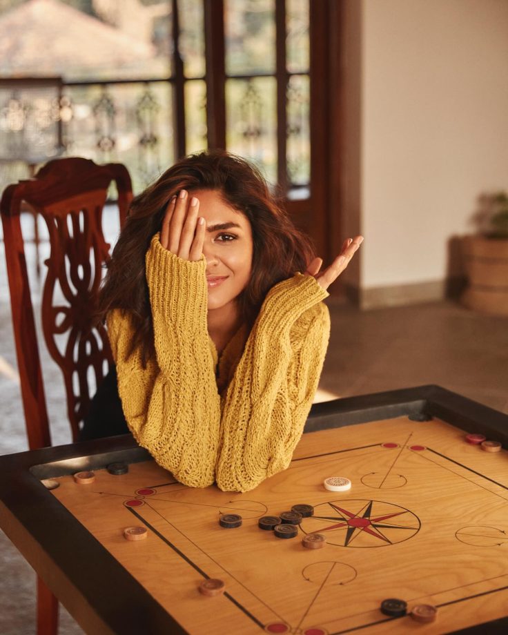 Mrunal Thakur's Steamy Hot Portrait Photoshoot On Instagram Is A Must-See! 899477