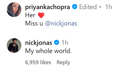 Nick Jonas's Sweetest Reaction On Priyanka Chopra & Daughter Malti Marie's Twinning Moment! 898210