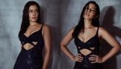 Raashii Khanna Gets Into Spotlight Wearing A Cocktail Party Glittery Gown, See Photos