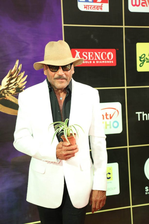 Red Carpet Moments: IWMBuzz Digital Awards Season 6 899007