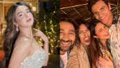 Roshni Walia Celebrates Mom's 50th Birthday, Divyanka Tripathi, Akansha Puri And Others Attend Party 899802