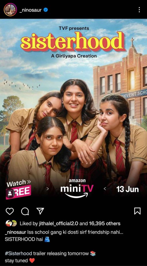 'Taarak Mehta...' fame Nidhi Bhanushali aka Sonu bags her next show; shares poster 899518