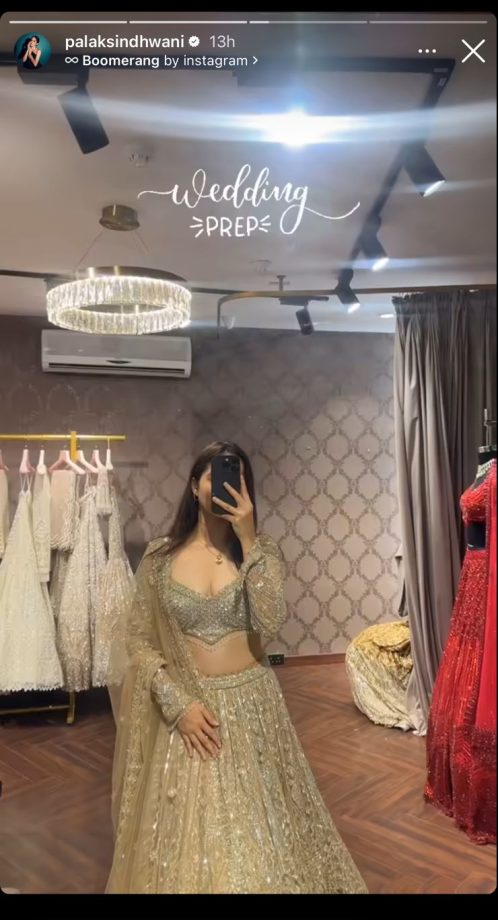 Taarak Mehta Fame Palak Sindhwani Shares Sneak Peek Of Wedding Attire 903364
