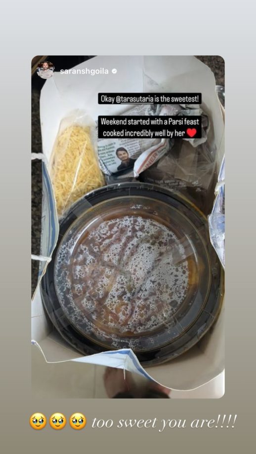 Tara Sutaria Cooks Parsi Meal For Someone Special, Find Who? 902190