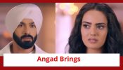 Teri Meri Doriyaann Spoiler: Angad brings Gurnoor home; Gurnoor faces the reality