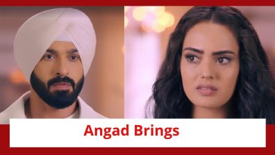Teri Meri Doriyaann Spoiler: Angad brings Gurnoor home; Gurnoor faces the reality