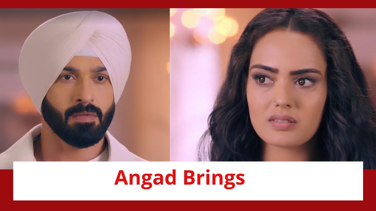 Teri Meri Doriyaann Spoiler: Angad brings Gurnoor home; Gurnoor faces the reality 900788