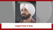 Teri Meri Doriyaann Spoiler: Angad finds a way to save Sahiba; Sahiba’s life in danger