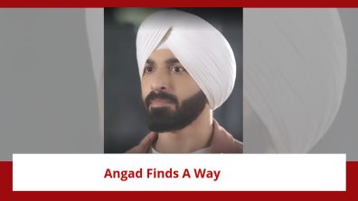 Teri Meri Doriyaann Spoiler: Angad finds a way to save Sahiba; Sahiba’s life in danger