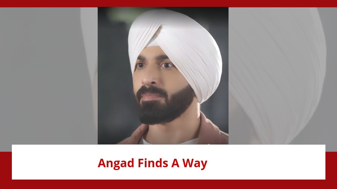 Teri Meri Doriyaann Spoiler: Angad finds a way to save Sahiba; Sahiba's life in danger 898127