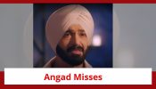 Teri Meri Doriyaann Spoiler: Angad misses Sahiba; explains his decision to her