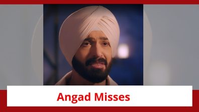 Teri Meri Doriyaann Spoiler: Angad misses Sahiba; explains his decision to her