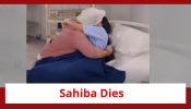 Teri Meri Doriyaann Spoiler: Sahiba and Angad’s emotional moment; Sahiba dies