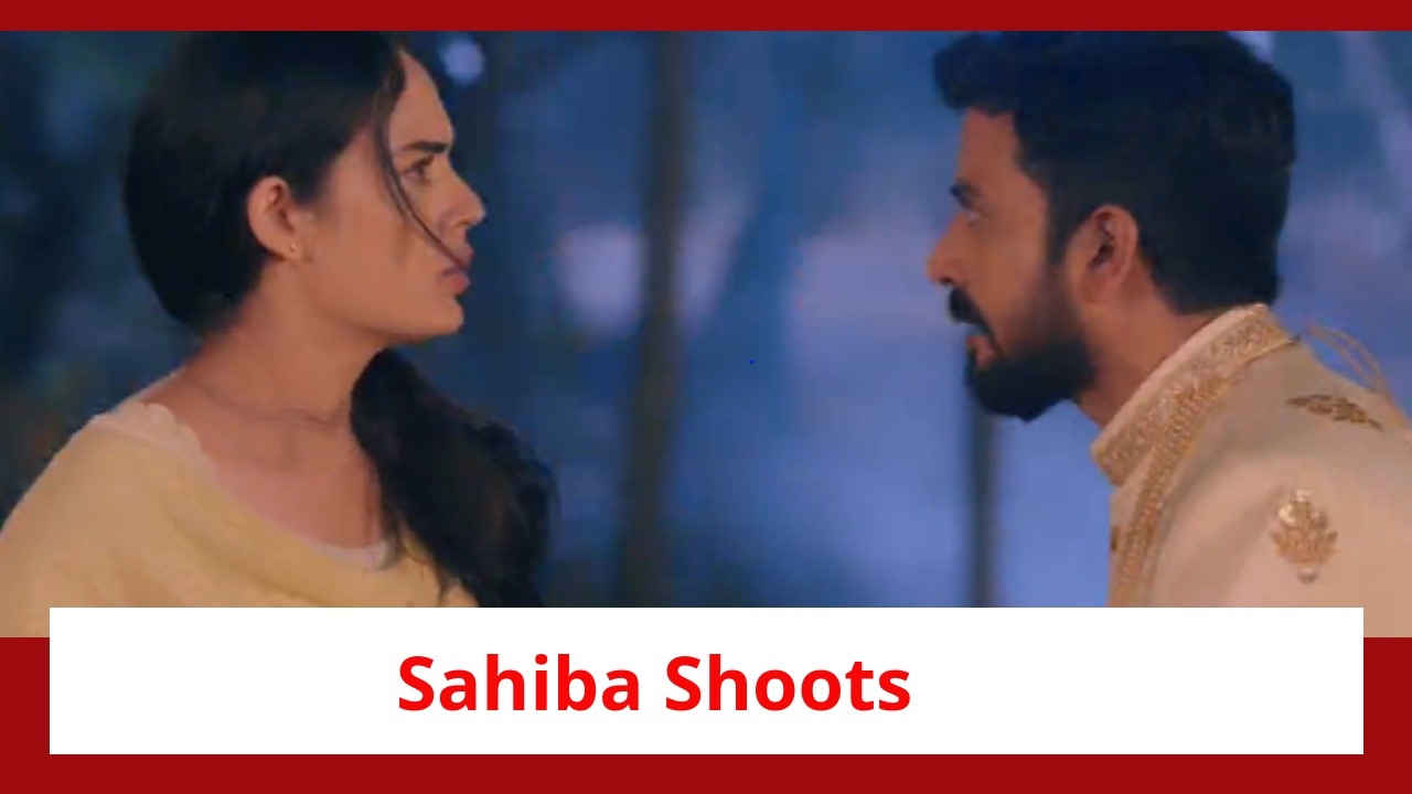 Teri Meri Doriyaann Spoiler: Sahiba and Diljeet have a tussle; Sahiba shoots Diljeet 898045