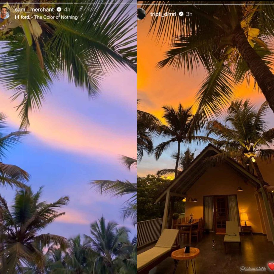 Triptii Dimri holidays with rumoured beau, Sam Merchant; shares images from their vacay 898637