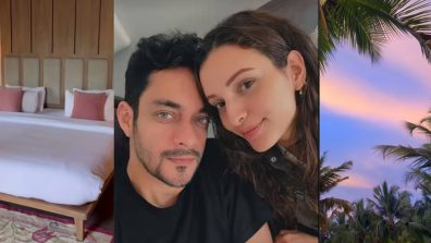 Triptii Dimri holidays with rumoured beau, Sam Merchant; shares images from their vacay