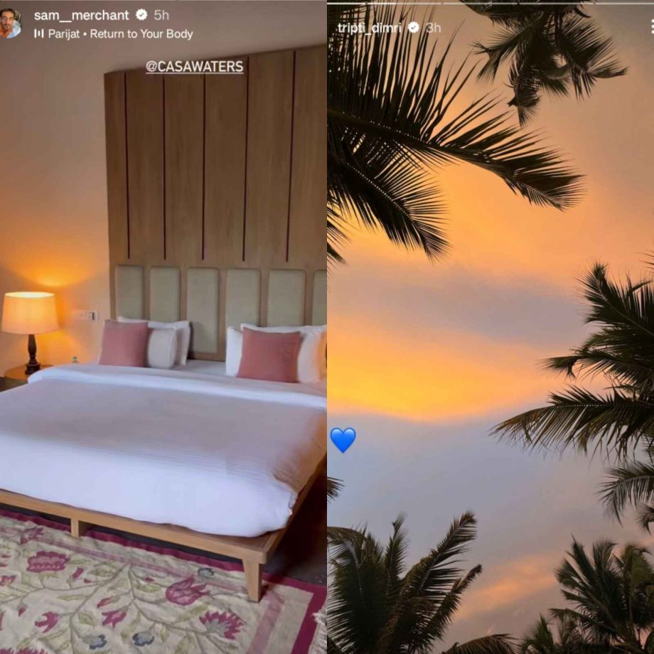 Triptii Dimri holidays with rumoured beau, Sam Merchant; shares images from their vacay 898635