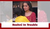 Udne Ki Aasha Serial Twist: Roshni in trouble; Krish identifies her