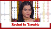Udne Ki Aasha Spoiler: Roshni in grave trouble; will she get exposed?