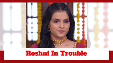 Udne Ki Aasha Spoiler: Roshni in grave trouble; will she get exposed?