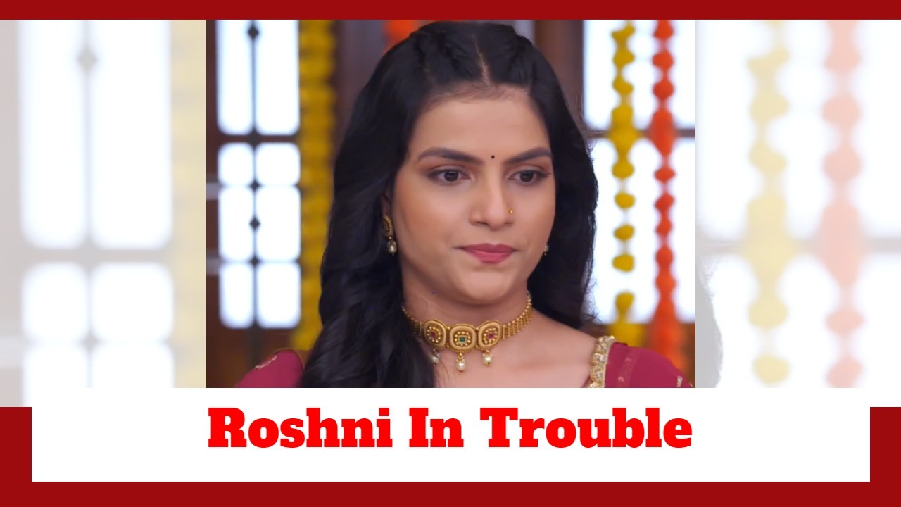 Udne Ki Aasha Spoiler: Roshni in grave trouble; will she get exposed? 902912