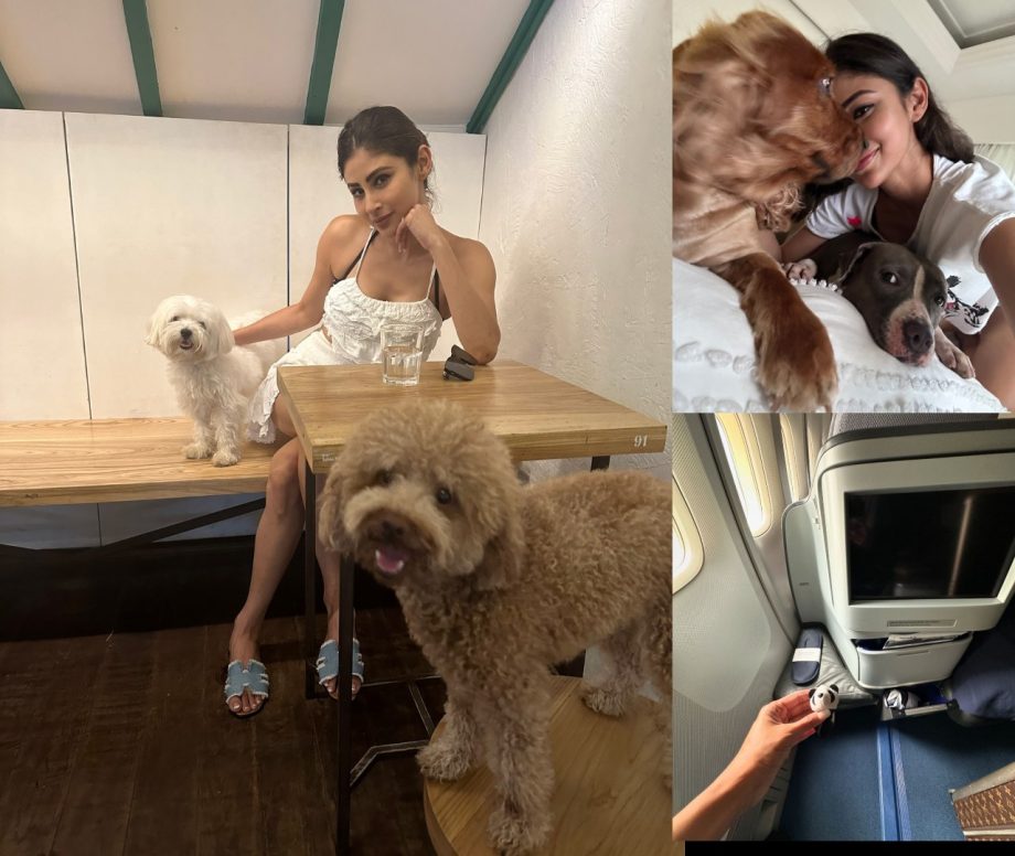 Weekend Bliss: Mouni Roy's Joyful Moments With Pet Dogs And Scenic Vistas 903937