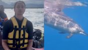 Adventure Junkie: Erica Fernandes Jumps In Blue Sea, Enjoys Swimming With Dolphins