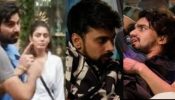 Bigg Boss OTT 3 24 July, Spoilers: Vishal Mocks At Lovekesh To Armaan Malik Get License To Hit In Bigg Boss House 908861