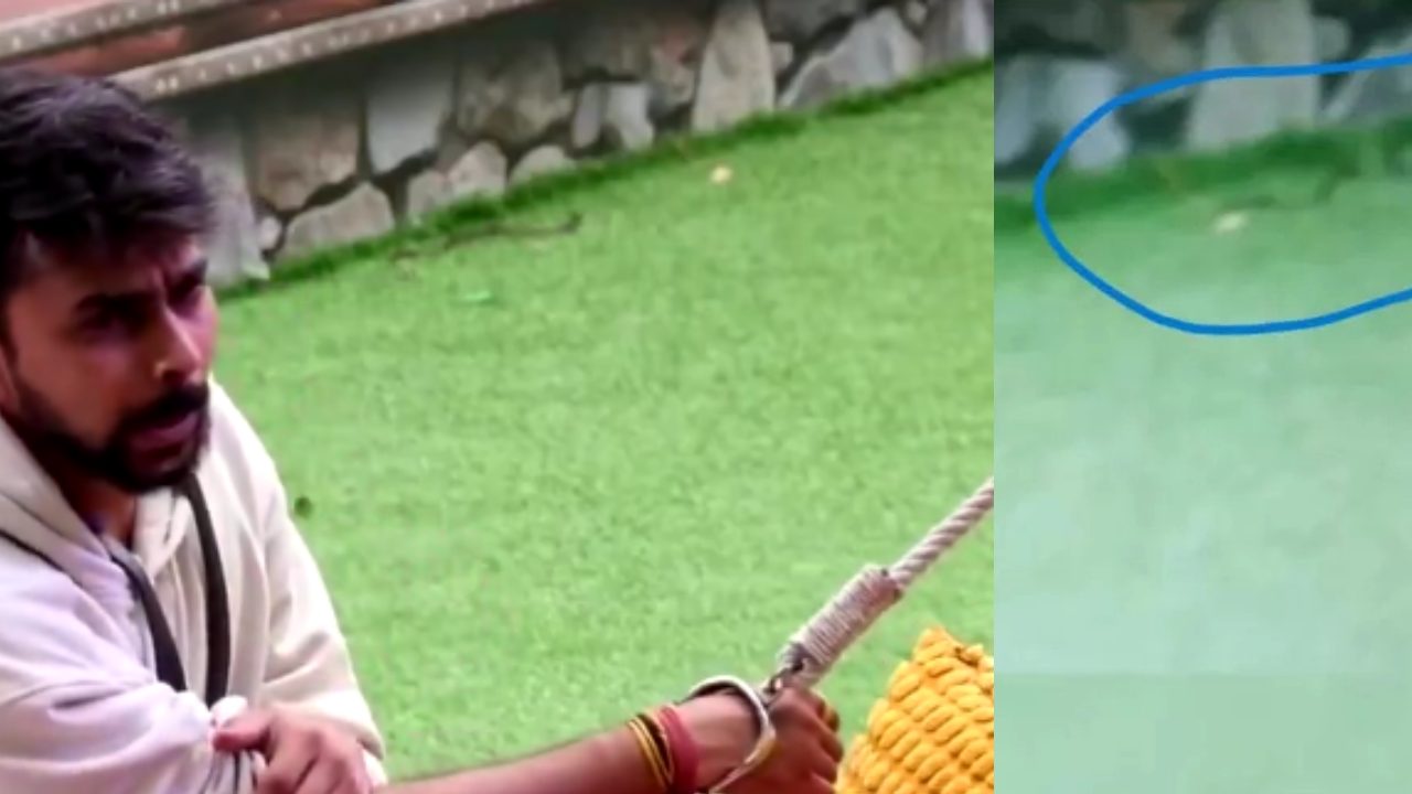 Bigg Boss OTT 3: Snake spotted in the house? Fans question safety protocol 905769