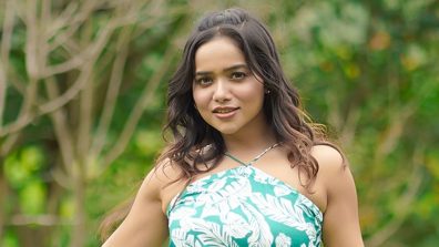 Fans React As Manisha Rani Turns The Heat In Maxi Dress, See Photos!