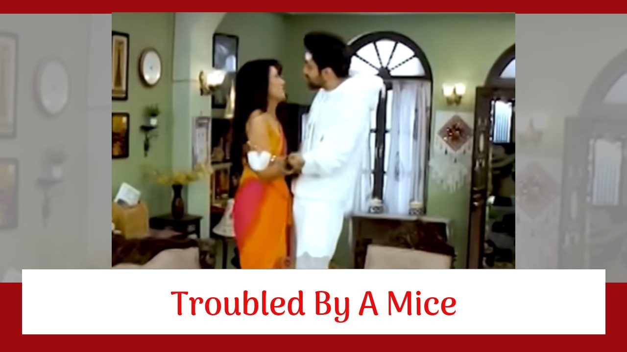 Kaise Mujhe Tum Mil Gaye Serial Twist: Virat and Amruta get troubled by a mice; end up in each other's arms 905604
