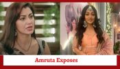 Kaise Mujhe Tum Mil Gaye Serial Upcoming Twist: Amruta exposes Rajeev; Nimmi breaks her silence