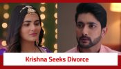 Krishna Mohini Serial Twist: Krishna seeks divorce; wants Aryaman to marry Mohini
