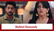 Krishna Mohini Serial Upcoming Twist: Aryaman resigns from his post in office; Mohini demands Aryaman-Krishna divorce