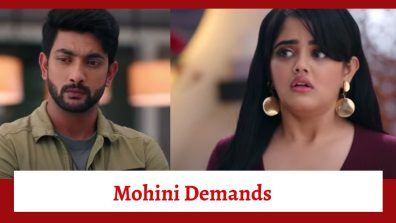 Krishna Mohini Serial Upcoming Twist: Aryaman resigns from his post in office; Mohini demands Aryaman-Krishna divorce