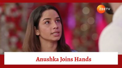 Main Hoon Saath Tere Serial Upcoming Twist: Anushka joins hands with Pushkar; plans to separate Aryaman-Janvi