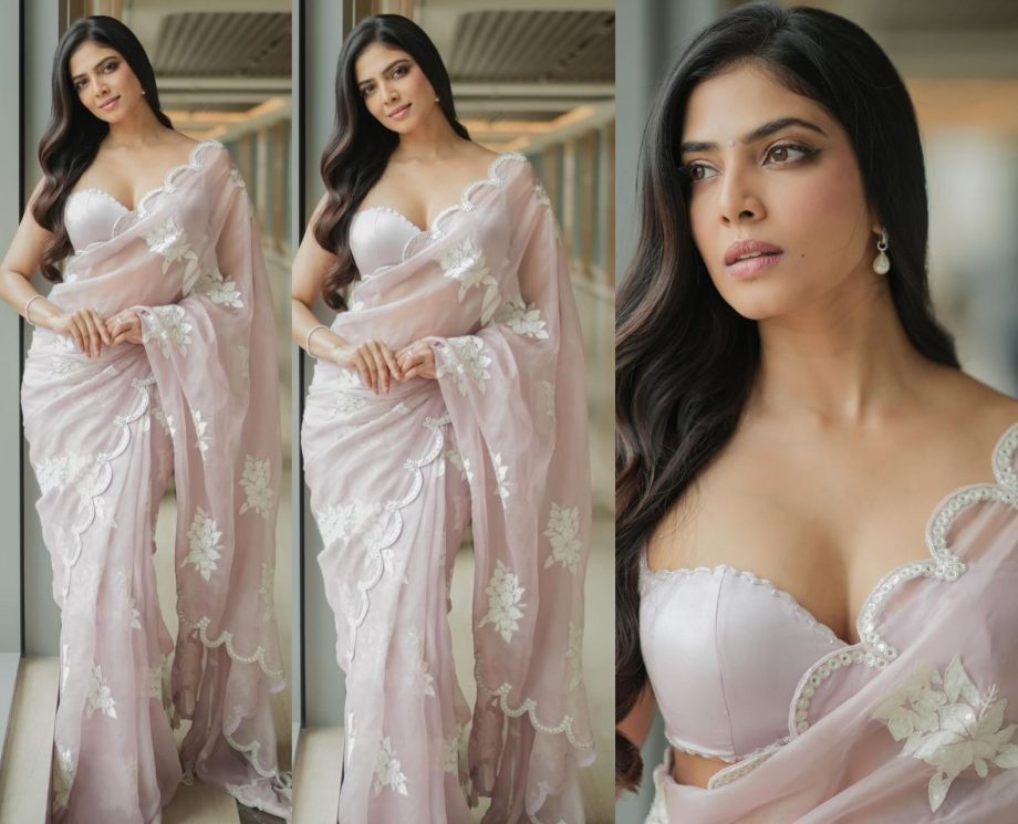Malavika Mohanan Stuns In Lilac Organza Saree With A Sleeveless Blouse, See Photos! 907663
